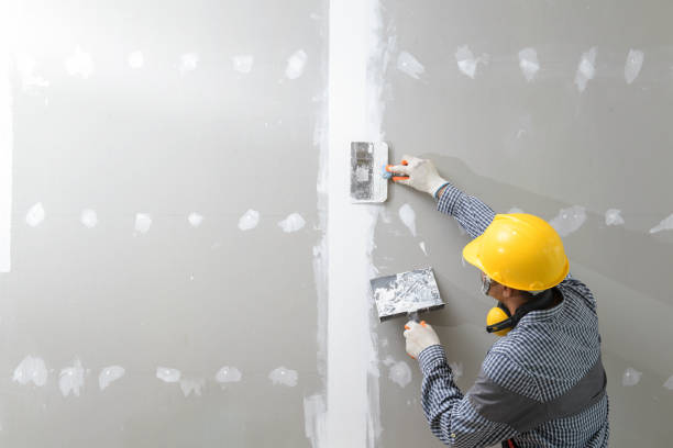 Cambrian Park, CA Drywall & Painting Services Company